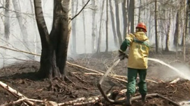 Пожары в Свердловской области не угрожают населенным пунктам