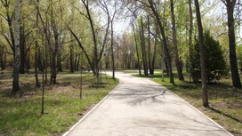 Деревья из лучших питомников: в Челябинске появится дендропарк