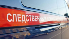 Шестерых активистов движения "Весна" задержали в разных регионах РФ