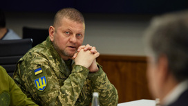 Киев хочет доказать, что Залужный дееспособен
