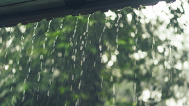 Дождь и туман: прогноз погоды в Приамурье на 15 мая