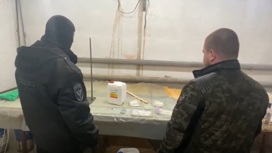 Троим сообщникам предъявлено обвинение за организацию нарколабораторий в Оренбурге