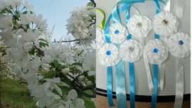 Жителям Челябинска раздадут белые цветы, чтобы помочь детям-отказникам
