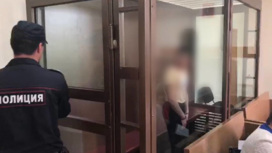 В Москве арестован насильник, напавший на девушку в подземном переходе