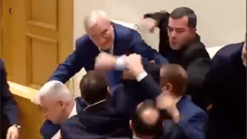 Потасовку между грузинскими депутатами транслировали в прямом эфире