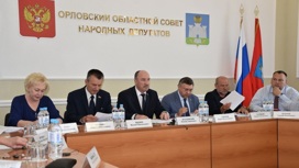 Орловские депутаты обсудят меры поддержки для бойцов, получивших инвалидность