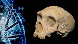 Настоящее историческое (Praesens historicum)