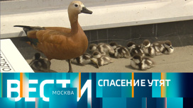 Эфир от 24.05.2023 (21:05)