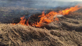 Лесные пожарные заметили возгорание с борта самолета