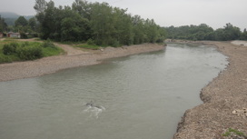 В станице Ярославской река подмыла переправу через реку Фарс