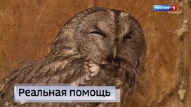 Эфир от 25.05.2023 (14:30)