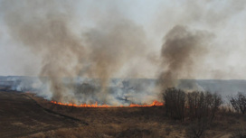 Лесопожарная группировка третьи сутки тушит возгорание в Благовещенском округе
