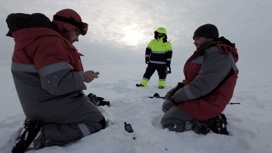 Сейсмическую активность Арктики изучают ученые