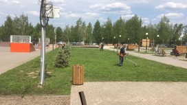 В Можге приступили к покосу травы