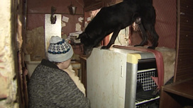 Жительница Москвы превратила квартиру в тюрьму для животных