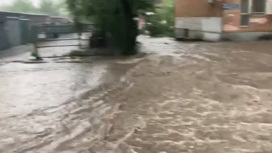 Непогода в Ростове-на-Дону: затопленные улицы и упавшие деревья