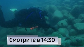 Первая в Россия морская подводная экотропа открыта в Приморье