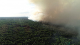 Костромская область готова к ликвидации и профилактике лесных пожаров