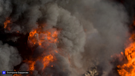 Два лесных пожара ликвидированы в Первомайском лесничестве