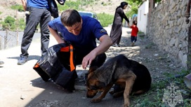 В Дагестане спасли истощенную дворнягу с острова посреди горной реки