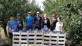 Эти летом в Краснодарском крае на работу устроят 28 тысяч подростков