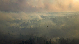 Два природных пожара охватили территории Зейского и Бурейского округов
