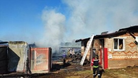 Курицы и теленок погибли в пожаре в Алнашском районе Удмуртии