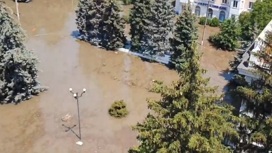 Власти прогнозируют быстрый спад воды в затопленных Алешках