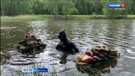 Подводные охотники очистили берега и дно прудов в костромском дендропарке