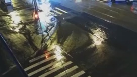 Насмерть сбившему пешеходов в Москве водителю вынесли приговор