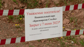 На территории Красноярского края ввели режим чрезвычайной ситуации в лесах