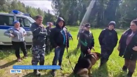 Потерявшуюся в лесу в Владимирской области пенсионерку нашли добровольцы
