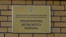В Вельске тренер по хоккею издевался над воспитанницами