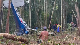 В Колумбии дети пережили авиакатастрофу и продержались в джунглях 40 дней
