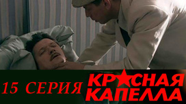 Серия 15