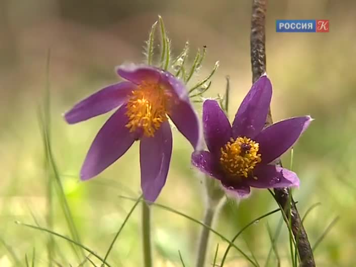 Новости в городе зея амурской области