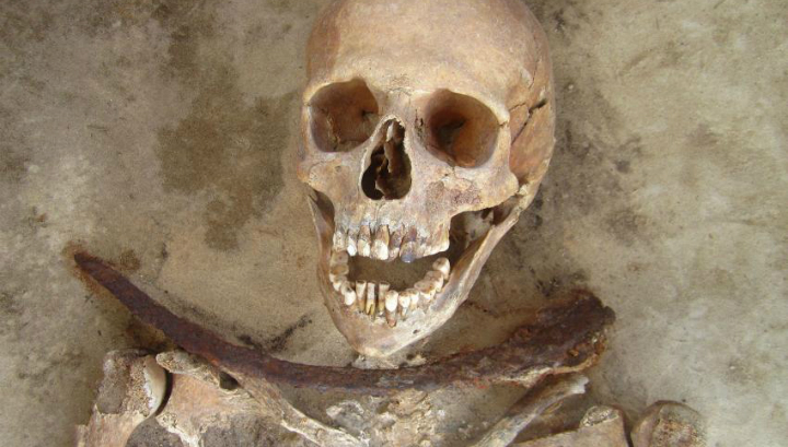 Скелет женщины, умершей в возрасте 30-39 лет и захороненной с серпом поперёк шеи