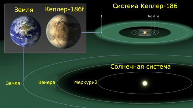 Сравнение масштабов планет и орбит Солнечной системы и системы Кеплер-186. Из-за тусклости родного светила изученная экзопланета получает столько же тепла, сколько и Земля, располагаясь на более близкой орбите