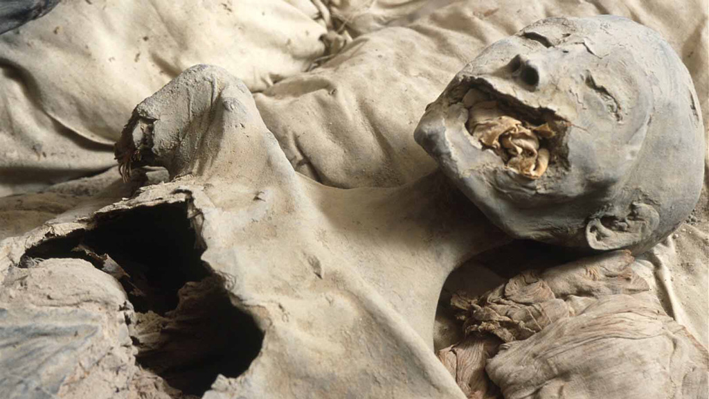 Мумия KV35YL, так называемая ╚Младшая Дама╩, возможно, Нефертити. Фото: Ministry of State for Antiquities and Heritage