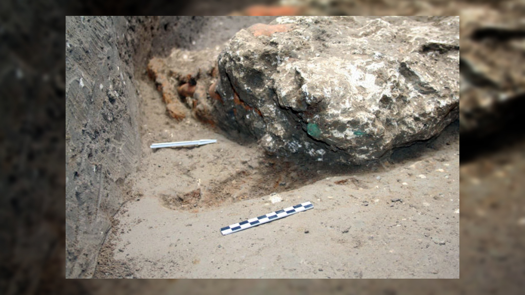 Отпечаток уха, сохранившийся рядом с головой лошади. Фото: Parco Archeologico di Pompei