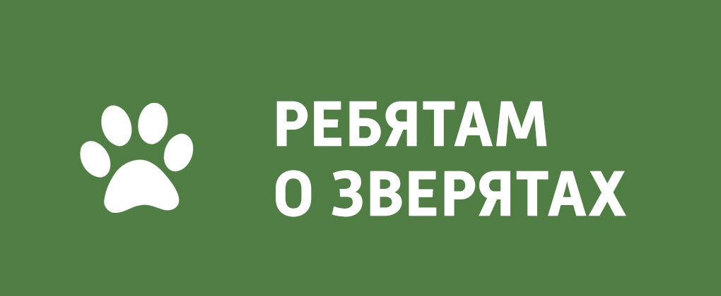 Ребятам о зверятах Ребятам о зверятах