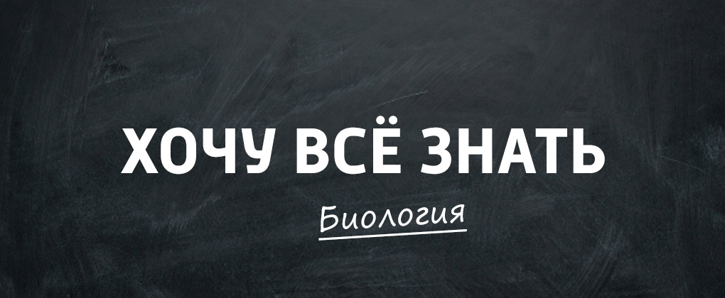 ХВЗ. Биология ХВЗ. Биология