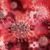 Учёные выяснили, для каких категорий населения коронавирус опаснее всего.