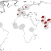 Карта распространённости генетического варианта, увеличивающего риск тяжёлого течения COVID-19.
