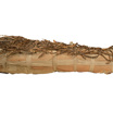 Вид мумии справа сбоку: тело, полностью завернутое в льняную ткань, с головы до ног покрытое цветочными гирляндами. На голову надета маска.