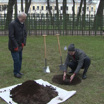 В Летнем саду Петербурга высадили саженец, выращенный из знаменитого дуба Петра Первого