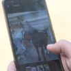 В Иркутске продолжаются поиски двух коней, которых похитили из конюшни в Ершах
