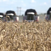 Украина дала гарантии, Россия возвращается к зерновой сделке