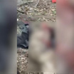 Появилось новое видео расстрела российских солдат