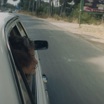 В прокат выходит первый совместный российско-ливанский фильм "Гнев"